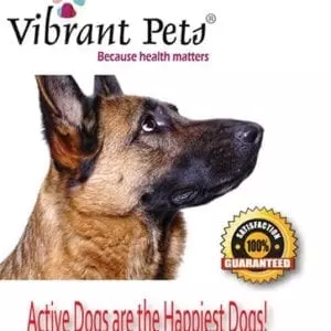 Vibrant Pets®