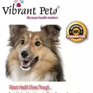 Vibrant Pets®